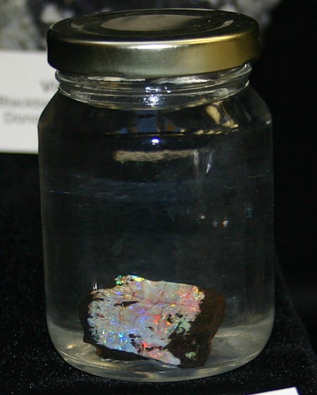 In Jar of water: Virgin Valley Nevada Opal