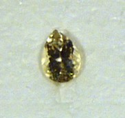 Sunstone gem stones