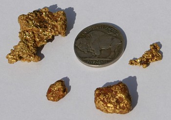 5 ounce gold nugget found sunbaking while prospecting for gold digging gold  