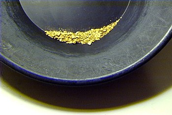 gold ounce pan