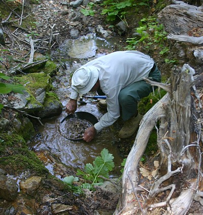 Testing for gold with a pan