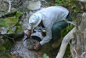 Gold Panning