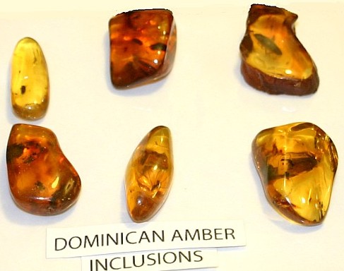 Amber with insect inclusions