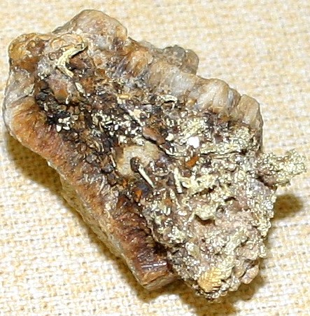 Nevada Electrum, Tuscarora, Elko Co.