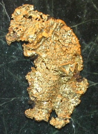 Golden bear nugget