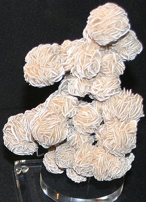Cottonball Gypsum roses