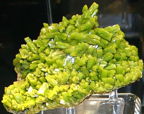 green pyromorphite crystals, Idaho