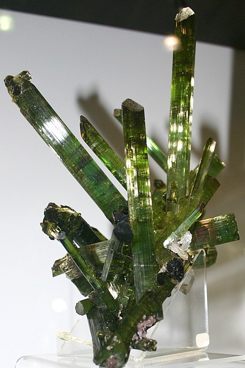 Tourmaline Crystal Spray, Africa