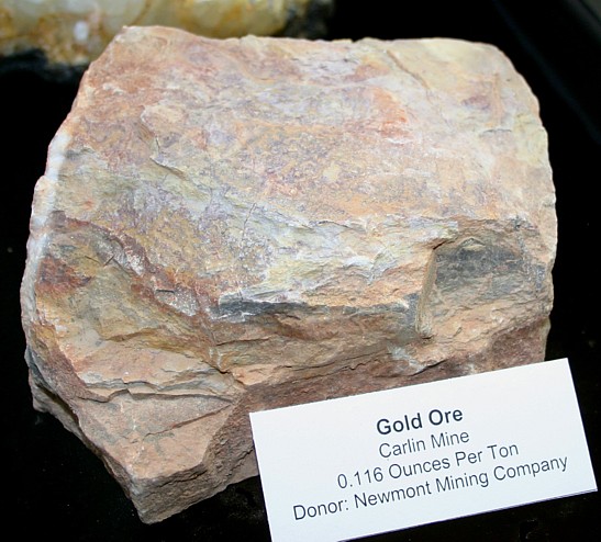 Carlin type gold ore