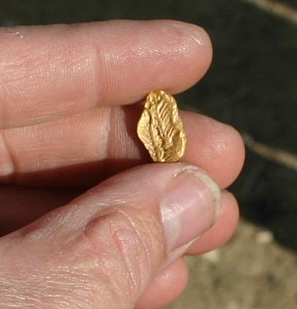 Herringbone pattern Rye Patch Nugget, Nevada gold