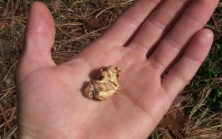 Large 43 gram gold nugget found with a metal detector
